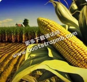 高清直播集锦，感受世界杯的激情与魅力 - 开云